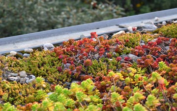 the cost of Llanddewi Ystradenni green roof installation