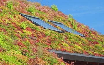 Llanddewi Ystradenni living roof systems